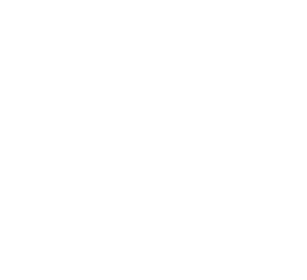 Recruitment Strategy Consultation